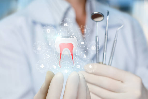 Best Full Mouth Reconstruction  in Roseland, NJ